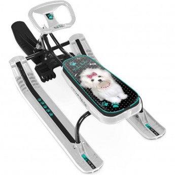 Снегокат TECH TEAM ТИМКА СПОРТ 1+ ТС1+/БЛ