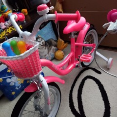 Детский велосипед TECH TEAM MERLIN бело-розовый 16 "